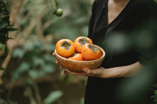 Crop faceless female in black dress with wicker bowl full of ripe fresh fruits of date plums