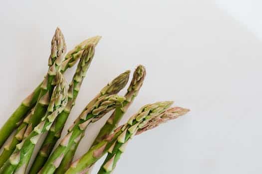 Fresh ripe asparagus pods in bunch