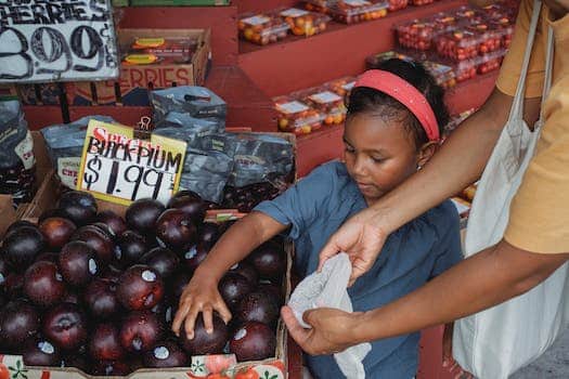 High angle of Asian mother and daughter picking ripe black plum in eco friendly shopping bag at food street bazaar