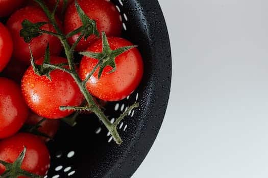 Top view of wet ripe red tomatoes on branch in black strainer with drops on white background